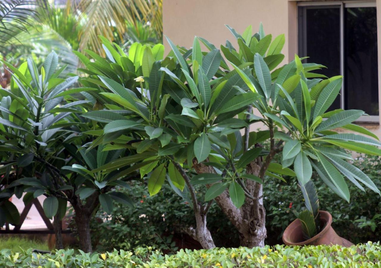 Cocobeach-Hotel Lomé Eksteriør billede